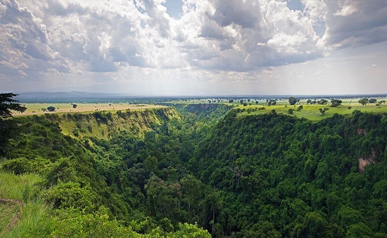 Chimpanzee Trekking Kyambura Gorge
