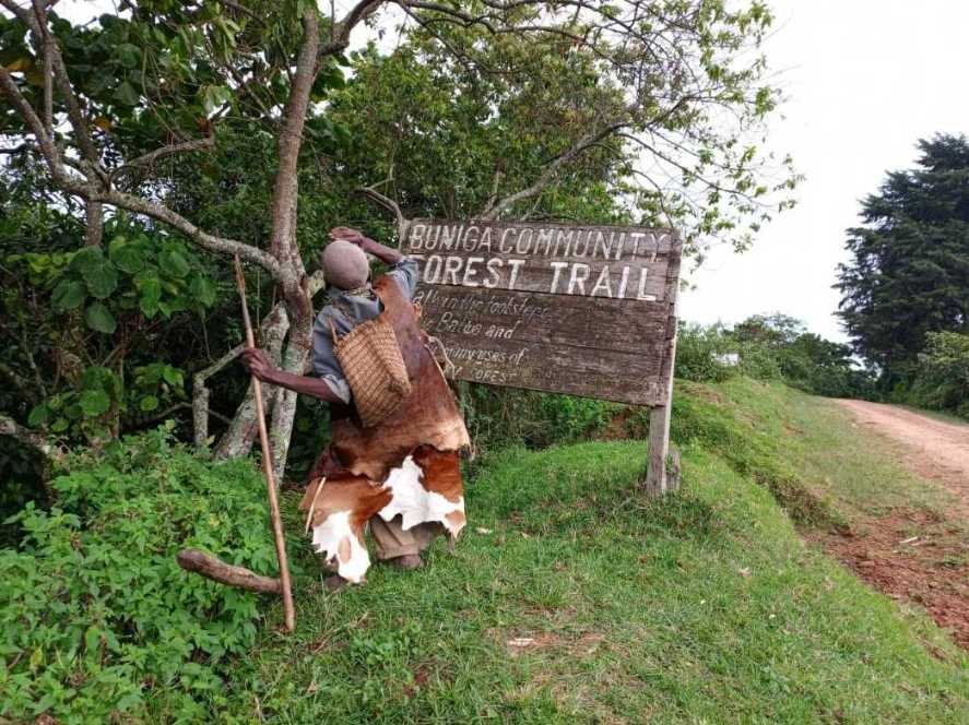 Batwa Pygmies cultural trail