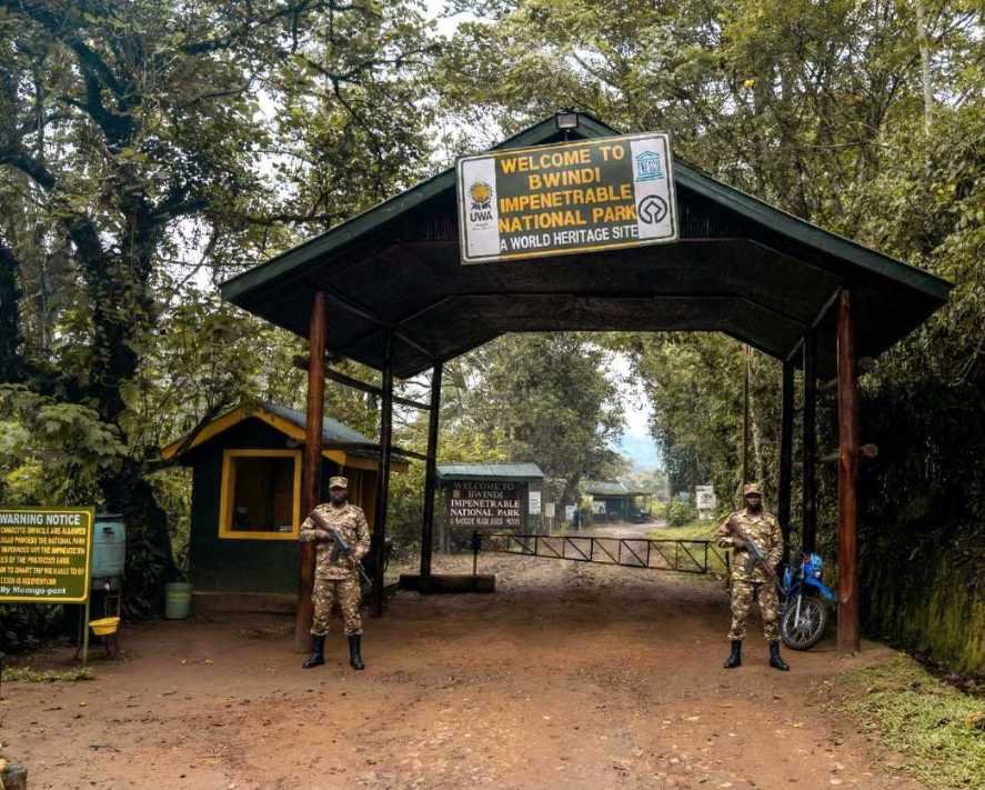 Rangers in Bwindi