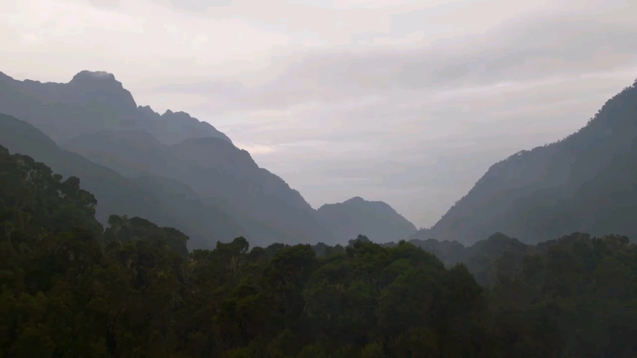 The misty peaks of the Rwenzori Mountains