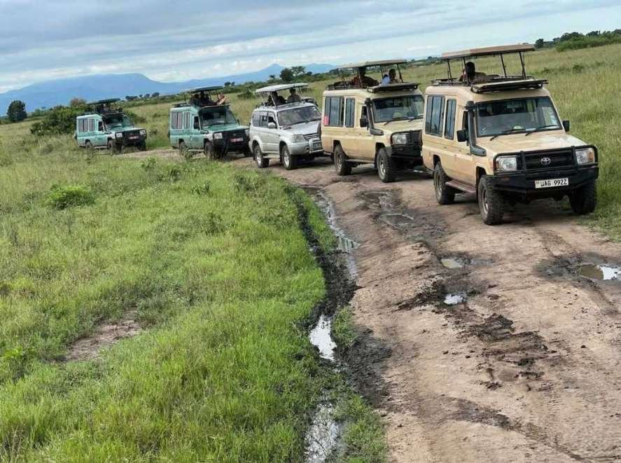 Kasenyi Plains Game Drive