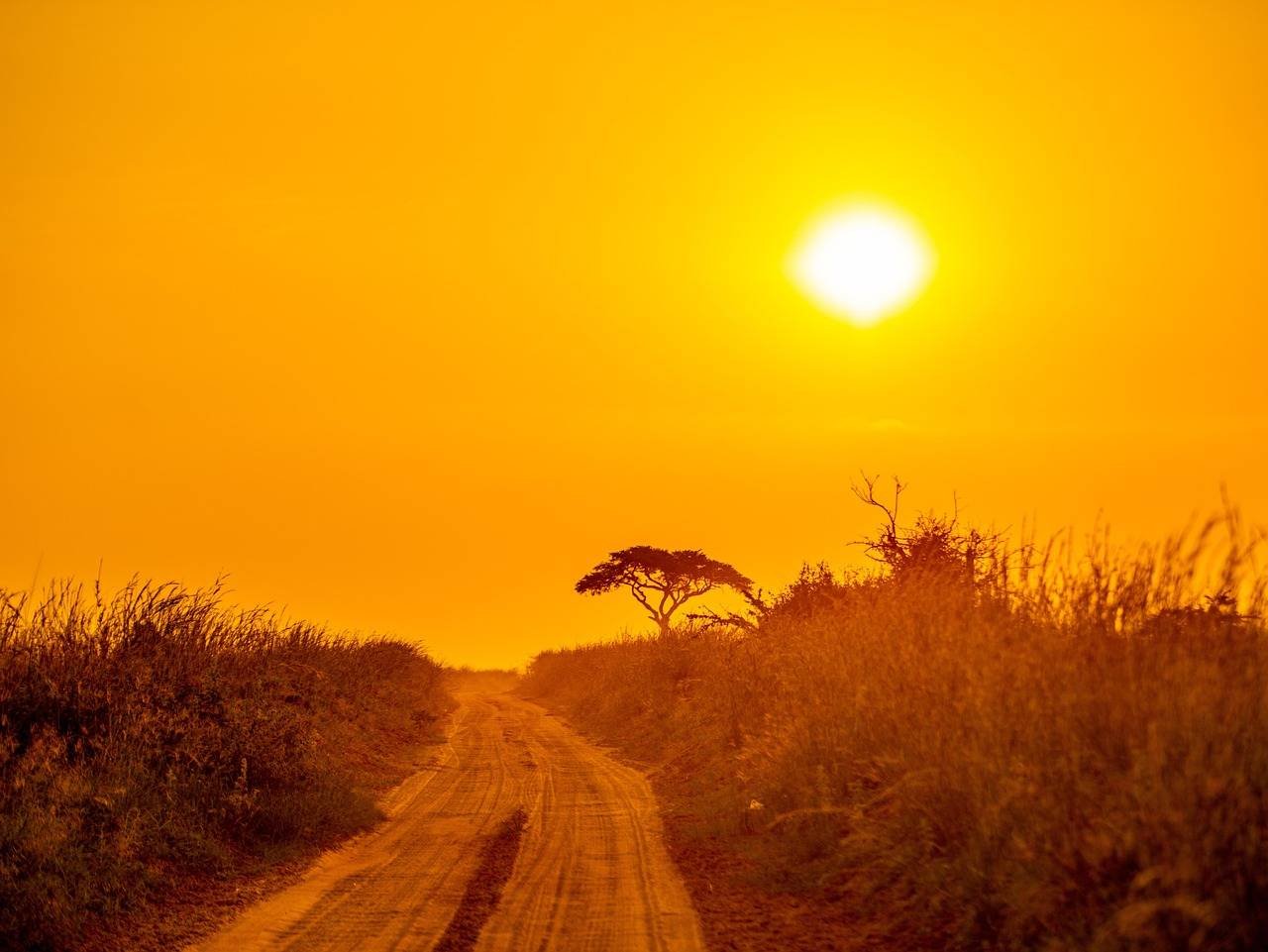 Scenic view of Queen Elizabeth National Park Savannah