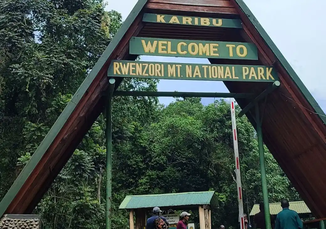 rwenzori main gate at mihunga