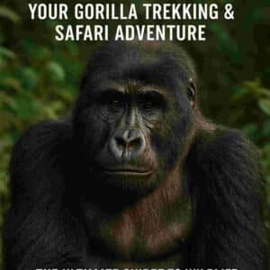 uganda: your gorilla trekking & safari adventure