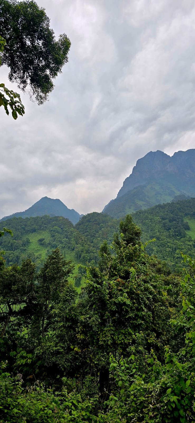 View bridging the mountains and the valley