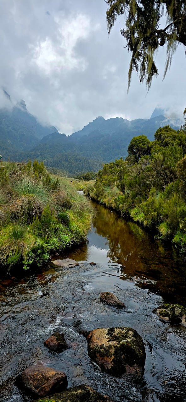 Beautiful landscape of the Rwenzori region