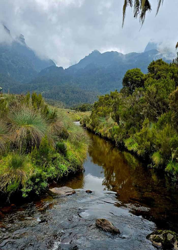 another view of rwenzori