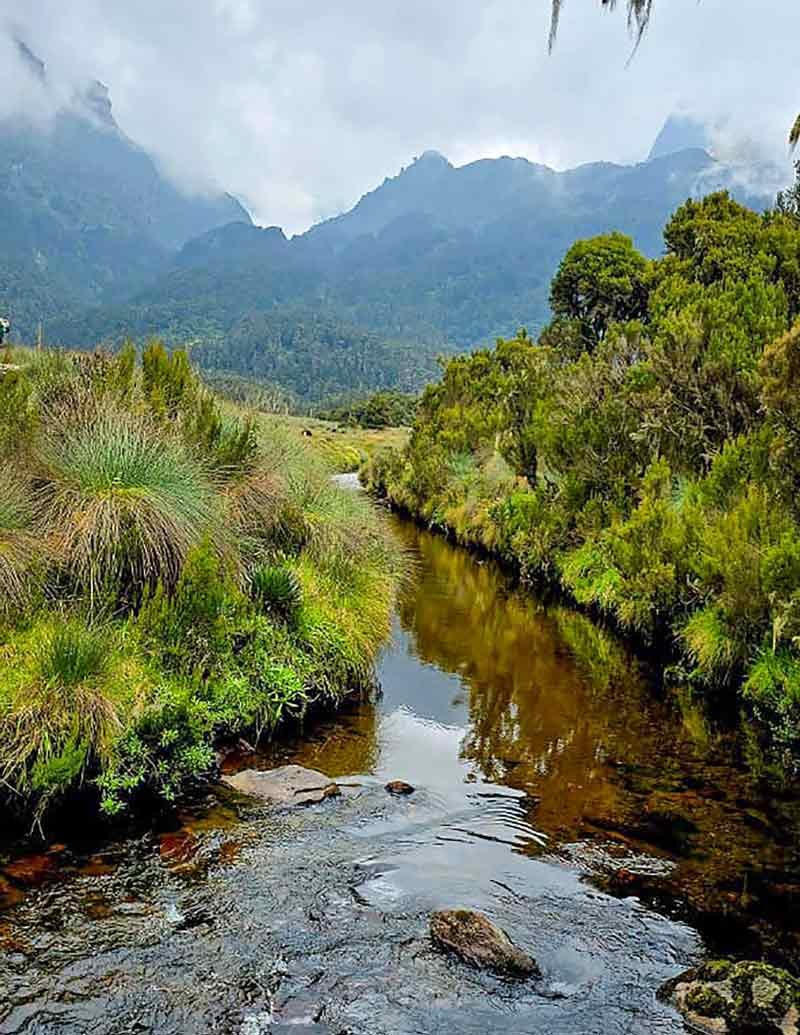 beautiful rwenzori views