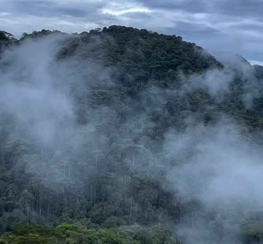 Bwindi landscape