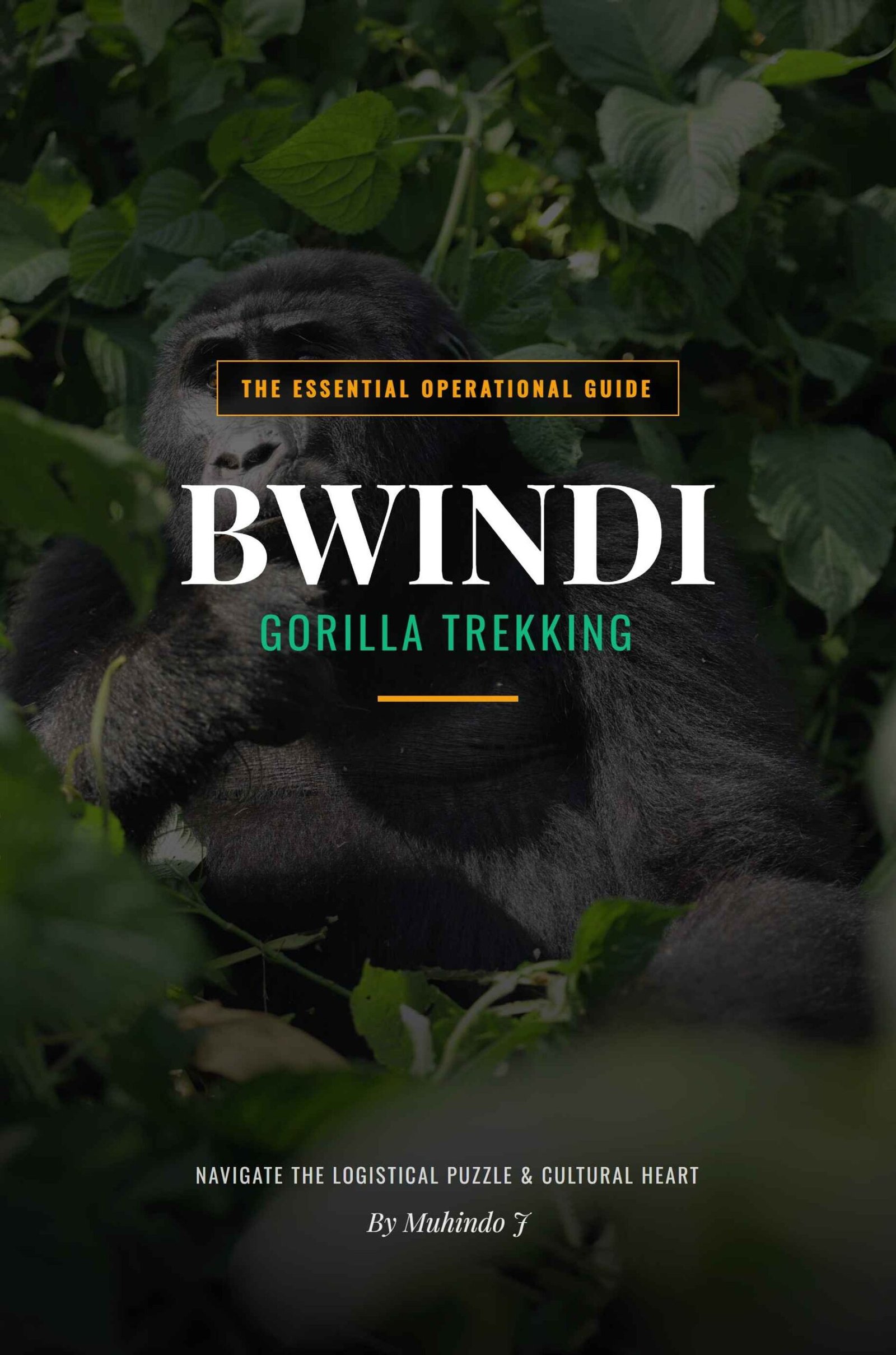 bwindi gorilla trekking: navigate the logistical puzzle & cultural heart