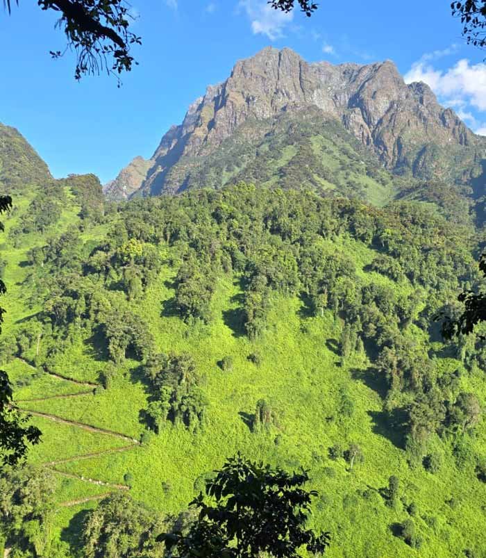 morning in rwenzori