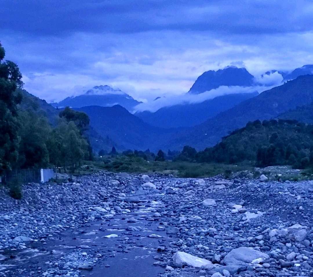 Mubuku Valley riverbank