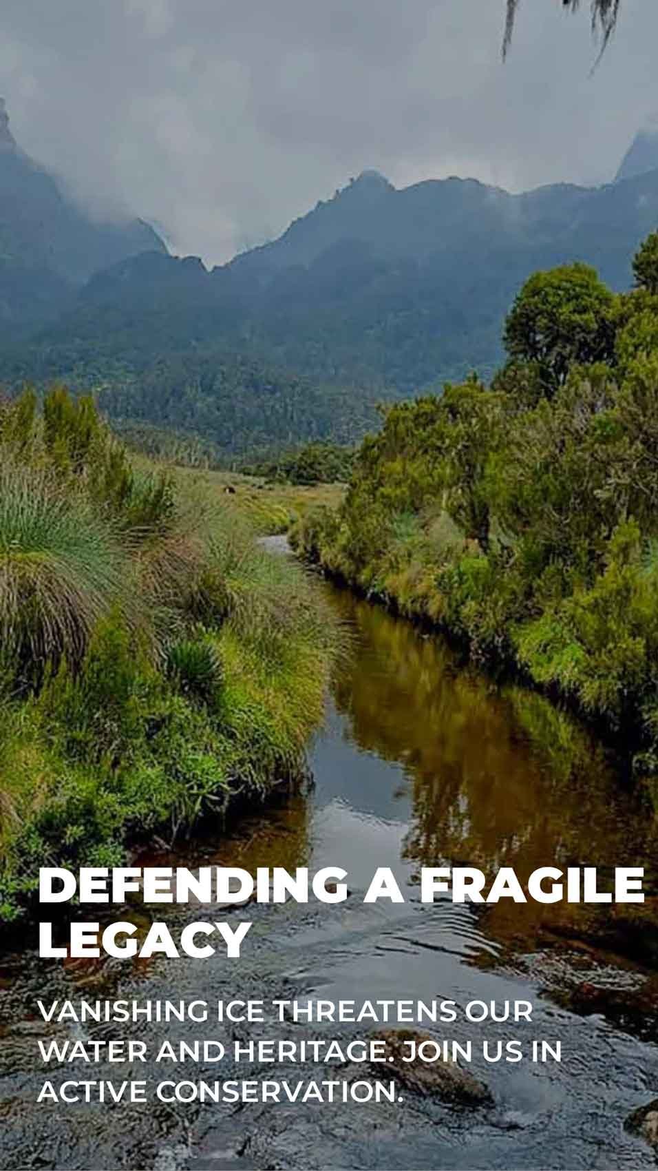 protect rwenzori ecosystem