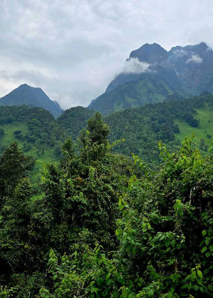 Mount Rwenzori Views